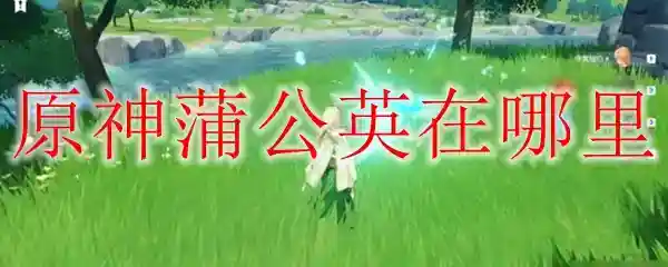 原神蒲公英在哪里