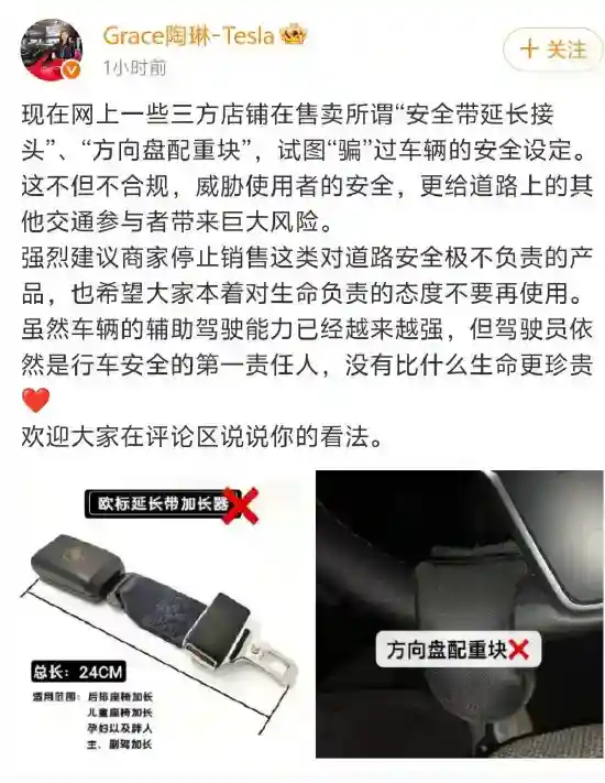 特斯拉陶琳谴责第三方配件：极不负责任 强烈建议停售