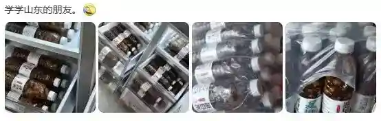 树上滴雨是你的谎言 上海蝉灾噪声污染让市民崩溃