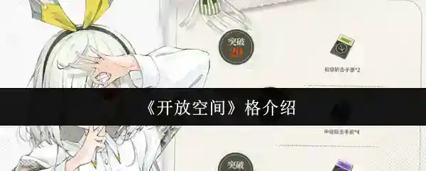 《开放空间》格介绍